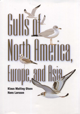 Gulls of North America, Europe, and Asia