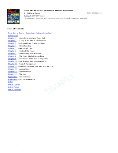 From serf to surfer: becoming a network consultant