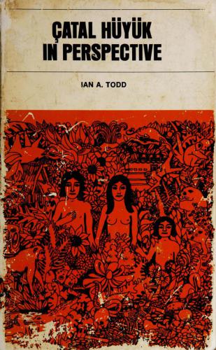 Çatal Hüyük in perspective