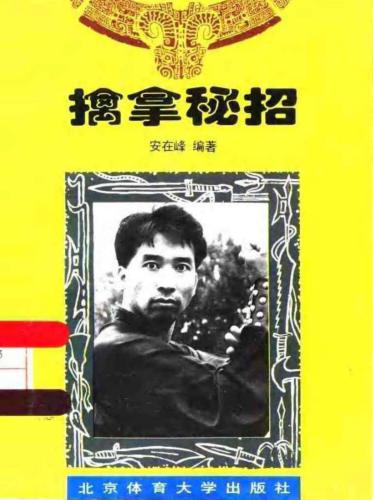 Qínna mì zhao / 安在峰。擒拿秘招