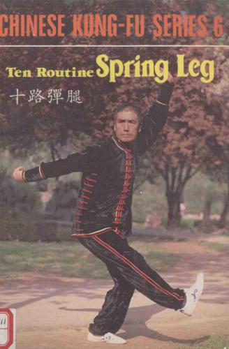 Ten Routine Spring Leg 十路弹腿.