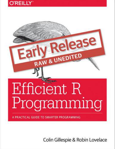 Efficient R Programming: A Practical Guide to Smarter Programming