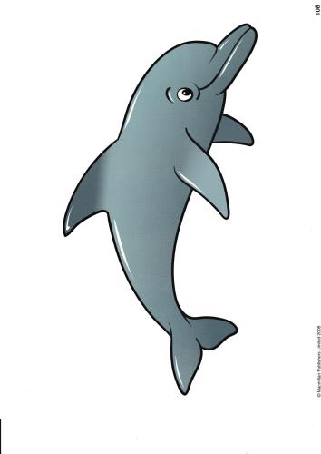 English World 2. Flashcards. Unit 9