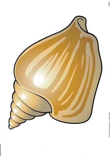 English World 2. Flashcards. Unit 10