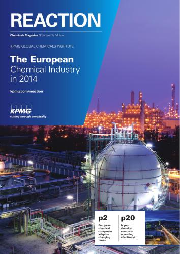 The European Chemical Industry in 2014