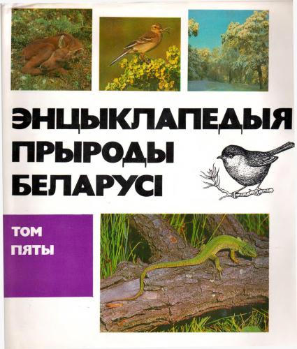 Энцыклапедыя прыроды Беларусі. Т.5. Стаўраструм - Яшчур