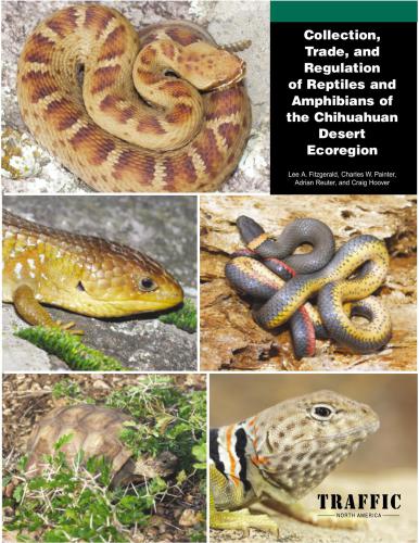 Collection, trade, and regulation of reptiles and amphibians of the chihuahuan desert ecoregion