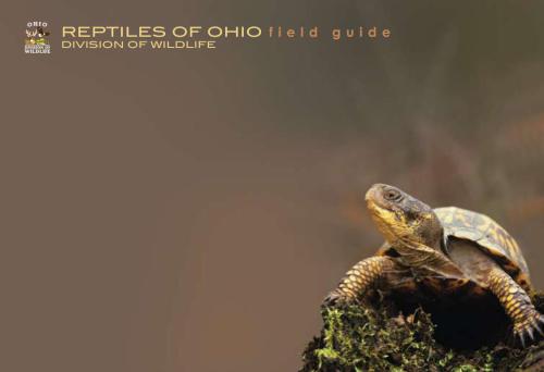 Reptilies of Оhio. Field guide