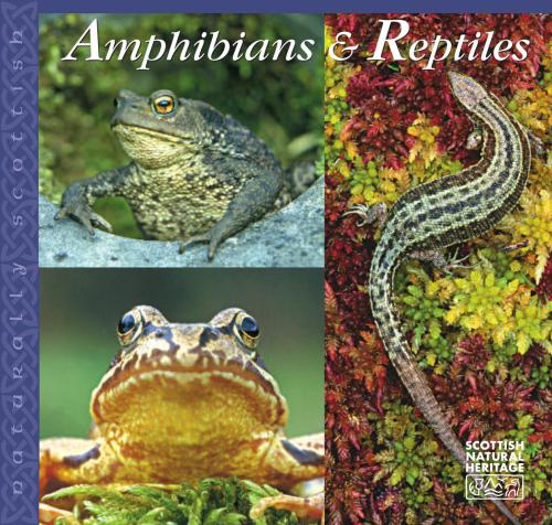 Amphibians and reptiles. Naturally Scottish