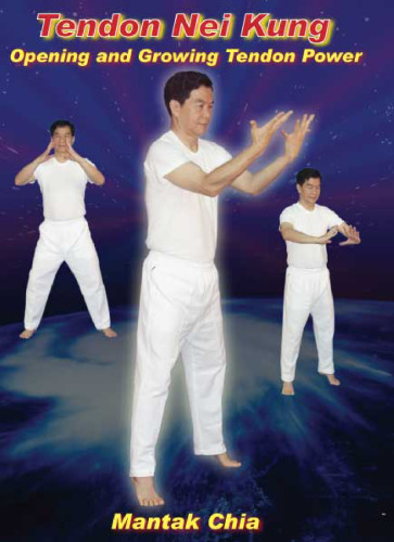 Tendon Nei Kung: Building Strength, Power, and Flexibility in the Joints