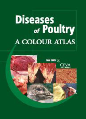 Disease of poultry
