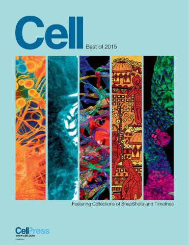 Best of Cell 2015: Featuring Collections of Snap Shots and Time Lines