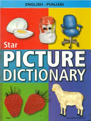 Star Children's Picture Dictionary: English-Punjabi