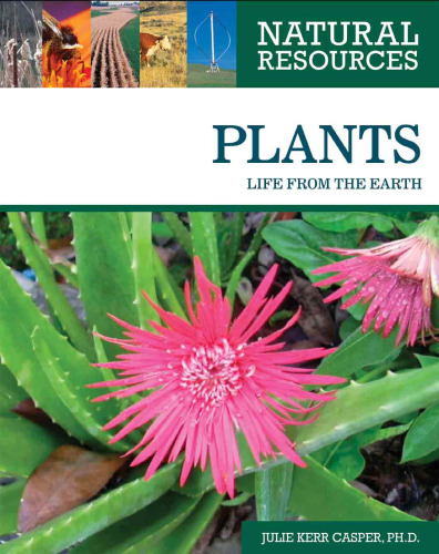 Plants: life from the earth