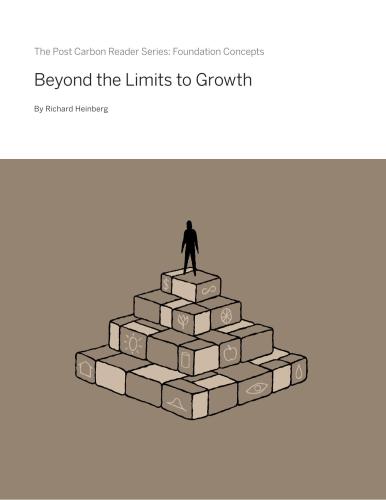 Beyond the limits to growth