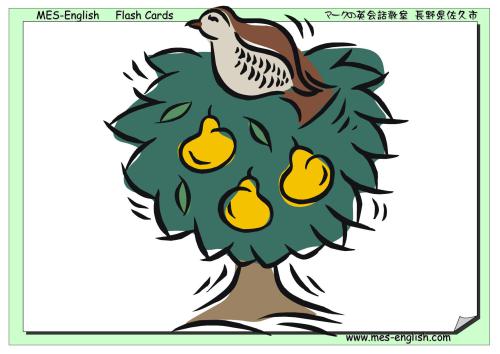 O'Mama. Flashcards for Kids. Часть 1