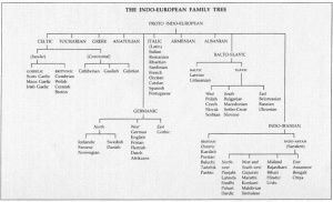 The Welsh Language (University of Wales - Pocket Guide)
