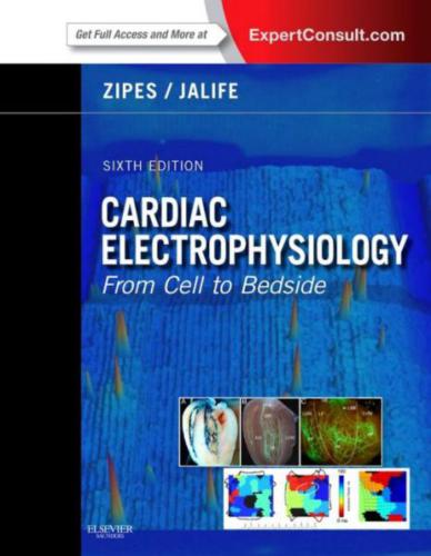 Cardiac Electrophysiology From Cell to Bedside Part 2