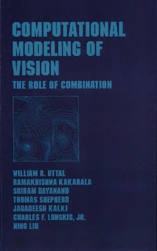 Computational Modeling of Vision. The Role of Combination