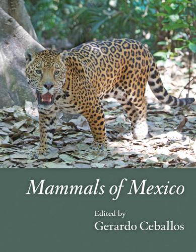 Mammals of Mexico