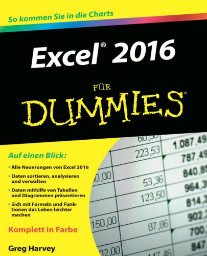 Excel 2016 für Dummies