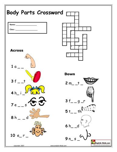 Body parts crossword