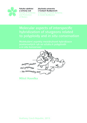 Molecular aspects of interspecific hybridization of sturgeon related ro polyploidy and in situ conservation