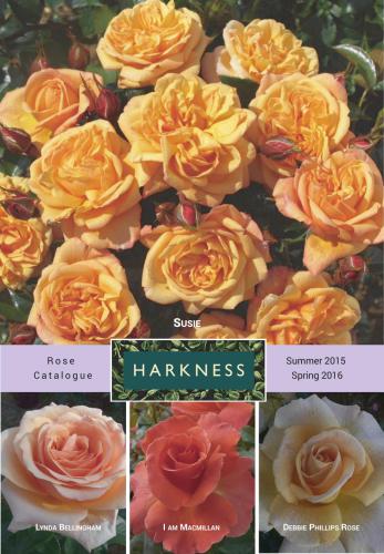 Summer 2015 - Spring 2016