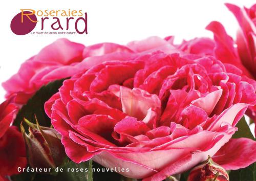 Orard Catalogue 2014-2015