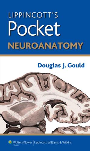 Lippincott's Pocket Neuroanatomy