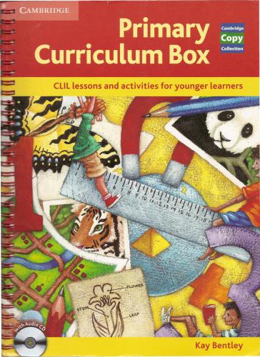 Primary Curriculum Box