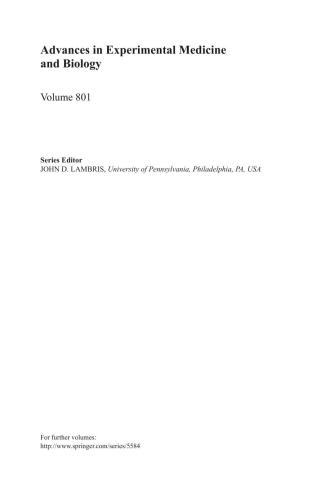 Retinal Degenerative Diseases. Mechanisms and Experimental Therapy