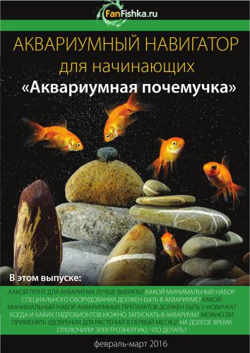 FanFishkaRu Navigator 2