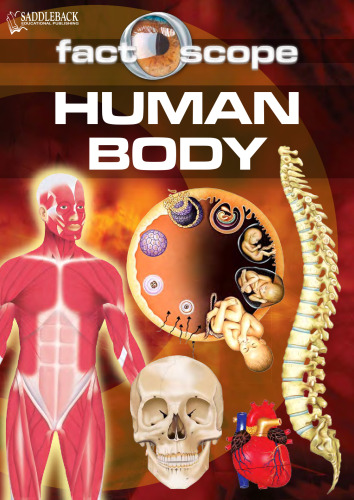 Human Body