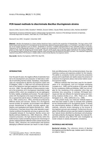 PCR-based methods to discriminate Bacillus thuringiensis strains