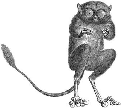 Scripting InDesign CS3/4 with JavaScript