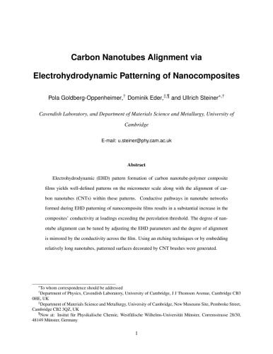 Carbon Nanotubes Alignment via Electrohydrodynamic Patterning of Nanocomposites
