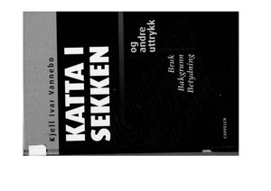 Katta i sekken og andre uttrykk. Bruk, bakgrunn, betydning