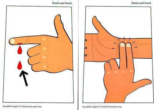 Incredible English 4. Flashcards