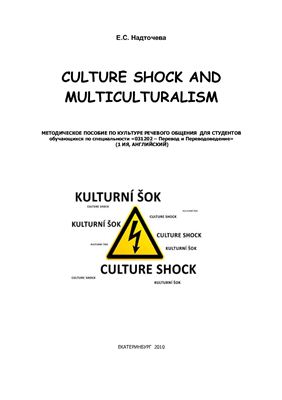 Culture Shock and Multiculturalism