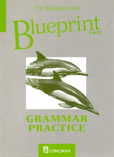 Blueprint Two. Grammar Practice