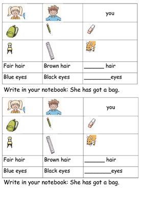 Worksheet Have/ has got