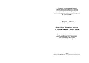 Безопасность жизнедеятельности человека в электромагнитных полях