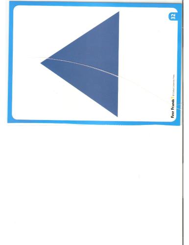 First Friends 1: Flashcards