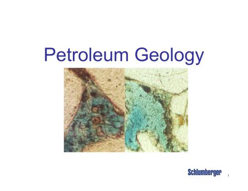 Petroleum geology