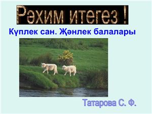 Хайван балалары