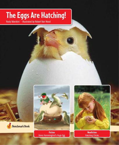The Eggs Are Hatching!