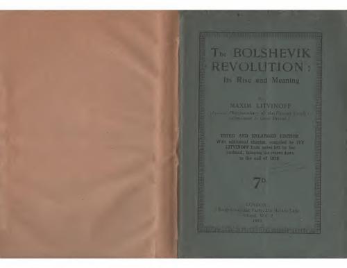 The Bolshevik revolution: its rise and meaning