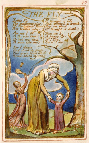 The Fly (analysis). Уильям Блейк, анализ стихотворения Муха