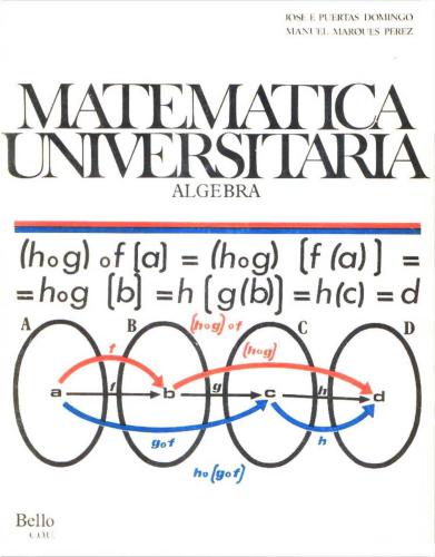 Matemática Universitaria - Álgebra